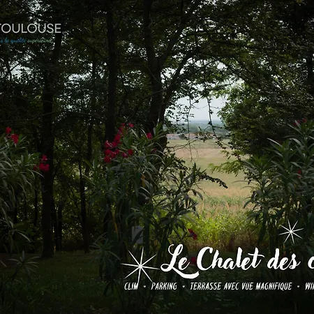 Toulouse - Le Des Coteaux - Cadre Magnifique - Wifi - Parking Castelginest