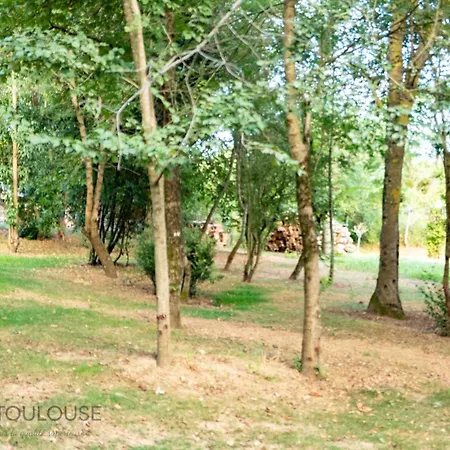 Toulouse - Le Des Coteaux - Cadre Magnifique - Wifi - Parking Appartement