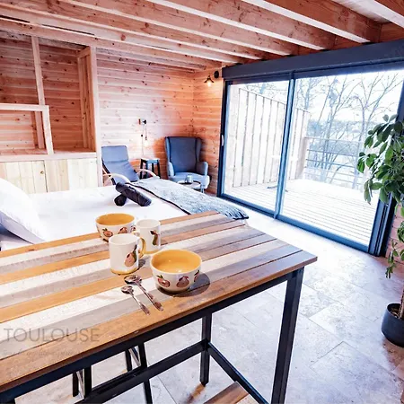 Toulouse - Le Des Coteaux - Cadre Magnifique - Wifi - Parking Appartement Castelginest