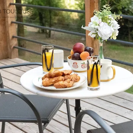 Toulouse - Le Des Coteaux - Cadre Magnifique - Wifi - Parking Appartement Castelginest